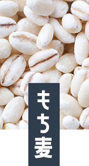 もち麦写真
