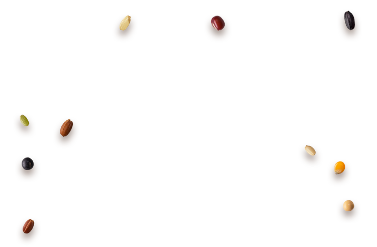 雑穀米ふりふり